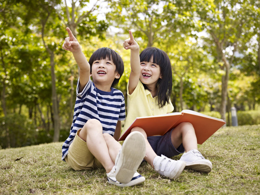 真实排名:出国留学培训机构排名曝光